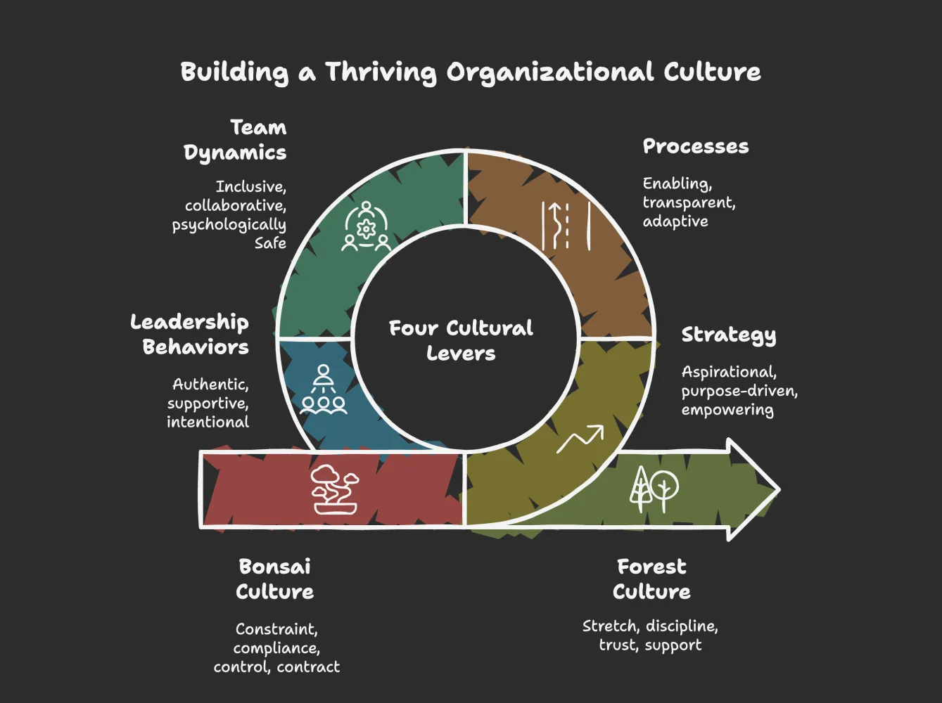 Bonsai to Forest Journey